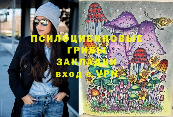 СК Абаза