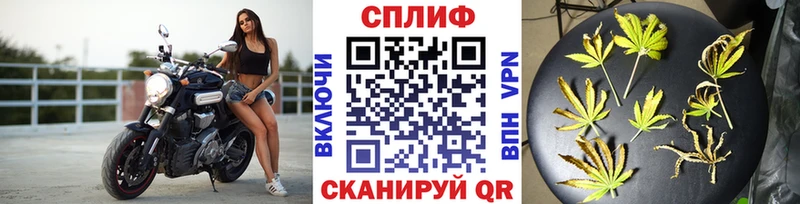 купить   Староминская  Каннабис Bruce Banner 